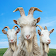 Goat Simulator 3 icon