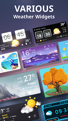 Screenshot of Weather Live