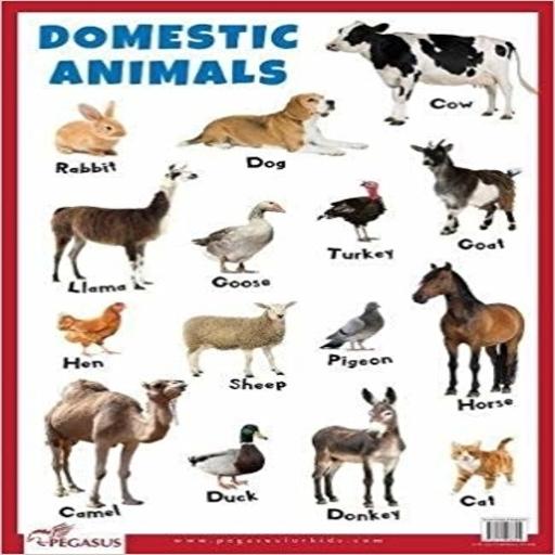Domestic Animals Sound logo