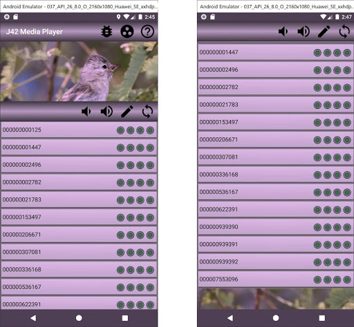 Android application J42 Media Player - Bird Sounds screenshort