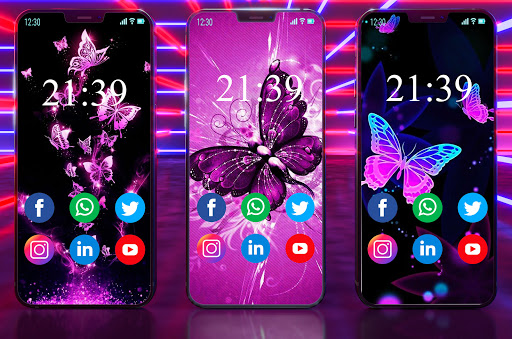 Butterfly Wallpapers