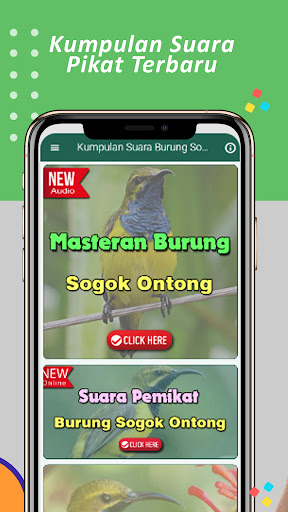 Suara Sogok Ontong Pikat Mp3 Screenshot 1 - AppWisp.com