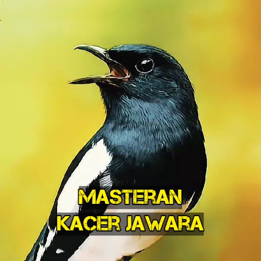 Masteran Kacer Jawara