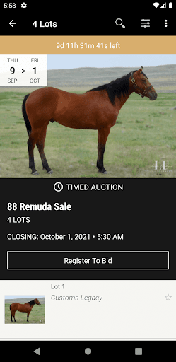 88 Remuda Sale Screen 2