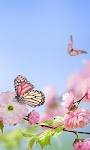 screenshot of Spring Flowers Live Wallpaper