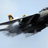 F14 Tomcat Wallpaper Images icon