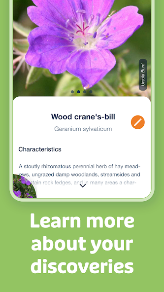 Flora Incognita Screen Grabs 3