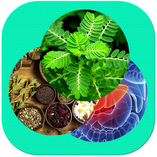 Cây thuốc, Vị thuốc, Biệt dược Download on Windows