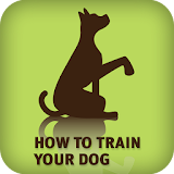 How to Train Your Dog icon
