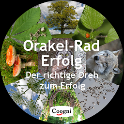 Icon image Orakel-Rad Erfolg