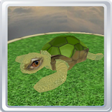 Virtual Pet 3D - Turtle icon