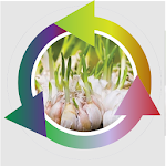 Cover Image of Télécharger Garlic Farmers Success  APK