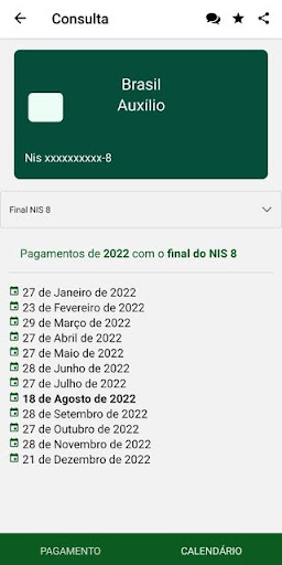 Brasil Auxilio Social Consulta Screen 3