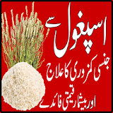 Ispaghol Ke Fawaid Urdu Nuskha icon