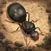 Image de couverture du jeu mobile : The Ants: Underground Kingdom 