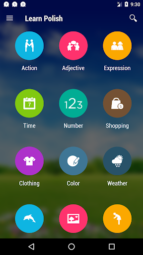 Android application Learn Polish screenshort