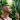 Jurassic Island: Lost Ark Surv