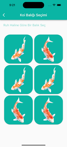 Koi Balığı Falı Screen 2