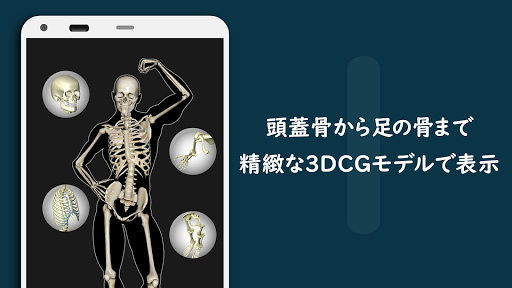 Updated Download Bone ボーン 骨を学ぶ３dアプリ Android App 21
