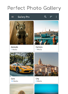 Gallery Pro: Photo Manager & Editor 2.7.1 Apk 1