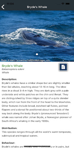 Marine Fauna sightings Screen 3