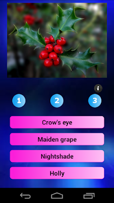 Millionaire pictures - Screenshot 4