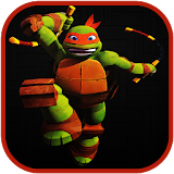 turtle shadows ninja icon