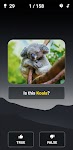 screenshot of Animal Quiz: Guess the Animal