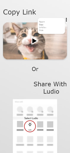 Ludio 1.2.0.6 screenshots 2