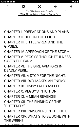 Book, The Girl Aviators Motor Screen 3