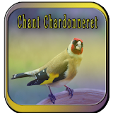 Chant Chardonneret Haut icon