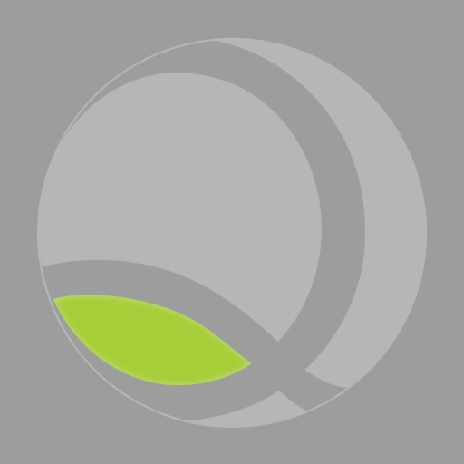NetQis Client logo