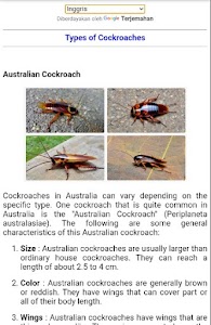 how to repel cockroaches Unknown