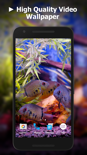 Android application Aquarium Video Live Wallpaper screenshort