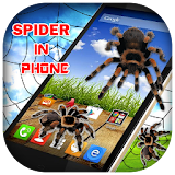 3D Spider in Phone prank icon