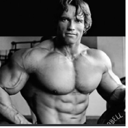 Bodybuilding Workout