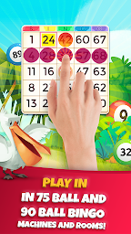 Praia Bingo: Slot & Casino