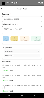 Greenko Audit