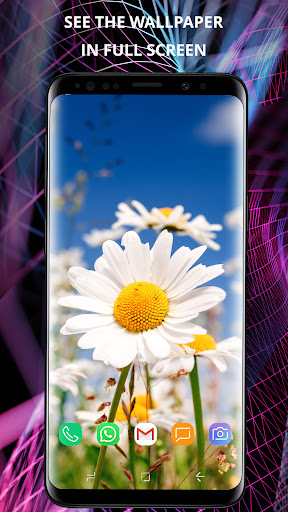Flowers wallpaper for phone Screen 2