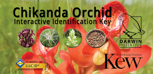 Chikanda Orchid Key