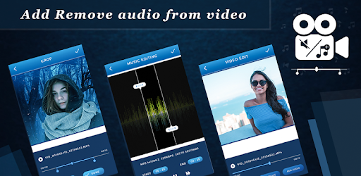 Add Remove Audio From Video