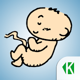 Беременность Ро неделям KLO icon