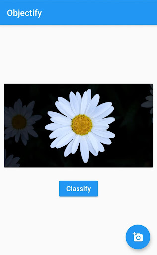 Objectify Screen 2