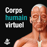 Corps humain virtuel icon