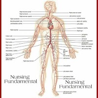 Fundamental Of Nursing