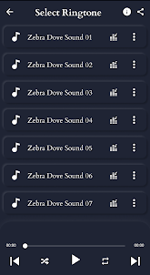 Zebra Dove Sounds