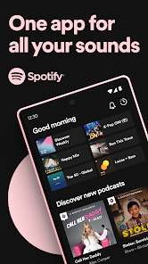 Spotify: Music and Podcasts v8.8.22.510 [Mod]