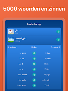 Screenshotafbeelding