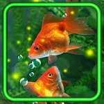 Cover Image of ダウンロード Gold Fishes Aquarium  APK