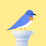 Bouncy Bird: Casual & Relaxing Flappy Style Game icon